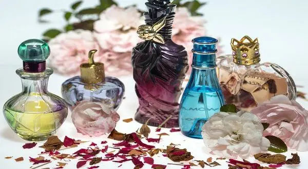 FragranceNet Perfume Shop