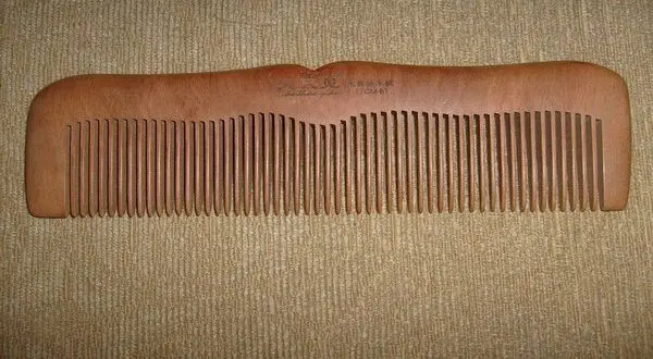 The Most Expensive Comb in the World