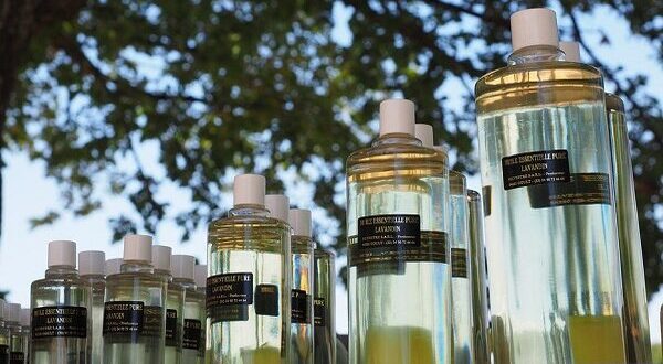 Sensual Elixirs: The Harmonist Perfumes